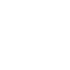 Scan with BriskQR